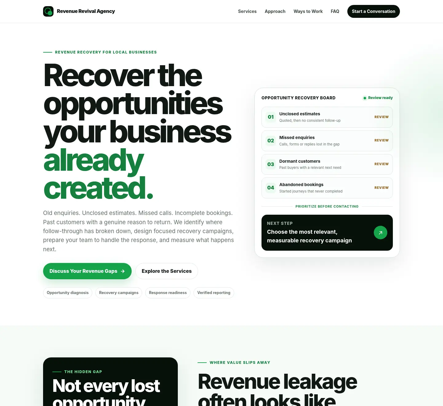 Revenue Revival Agency sales page preview